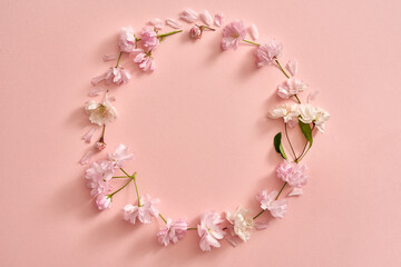 Empty circle shape from pink kwanzan cherry blossoms on pastel background with copy space