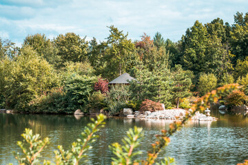 Fototapeta na wymiar Gazebo on the pond in the japanese garden on a summer day