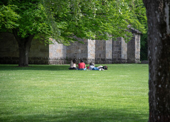 Un grupo de jóvenes sentado en un prado verde bajo unos arboles