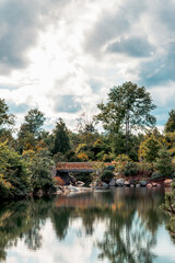 Obraz premium The bridge in the japanese garden on a summer day