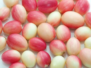 Karanda or Carunda on a white background.