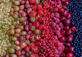 Summer background from berries and fruits. White and red currants, strawberries, cherries, blueberries and gooseberries. Summer vitamin food top view. Healthy diet