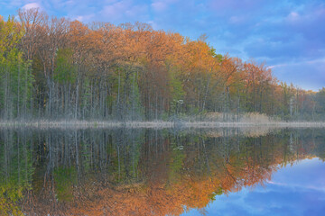 Spring landscape at sunrise of the shoreline of Deep Lake with dogwood in bloom and with mirrored reflections in calm water, Yankee Springs State Park, Michigan, USA