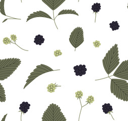 Dewberry, blackberry or black raspberry vector seamless pattern with branches, leaves and berries color hand drawn illustration. Isolated on white background.