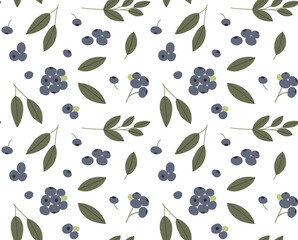 Blueberry vector seamless pattern with branches, leaves and berries color hand drawn illustration. Isolated on white background.