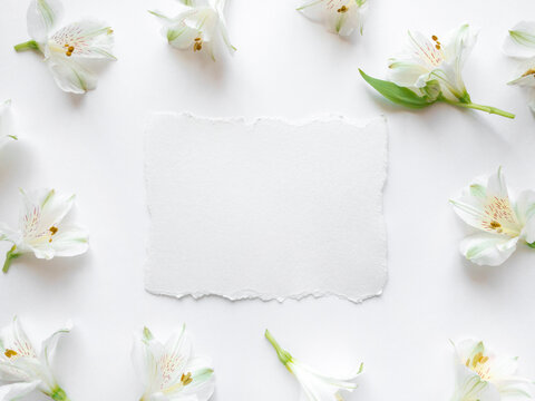 Paper card and fresh white flowers on a white background. Spring minimal concept. Place for your text.