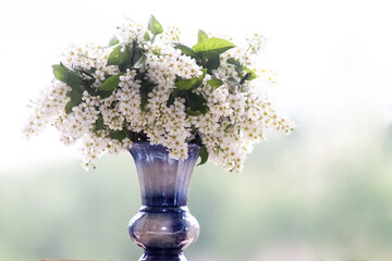 lilac flowers in vase