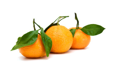 Fototapeta na wymiar Ripe mandarin citrus isolated tangerine mandarine orange on white background. 