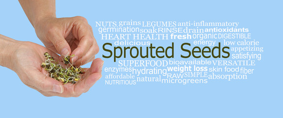 Superfood Sprouted Seed word cloud - one cupped hand holding freshly sprouted lentils and one hand...