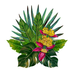 Tropical fruits plants  botanical leaves banana palm monstera bouquet arrangement isolated elements on the white © HoyaBouquet