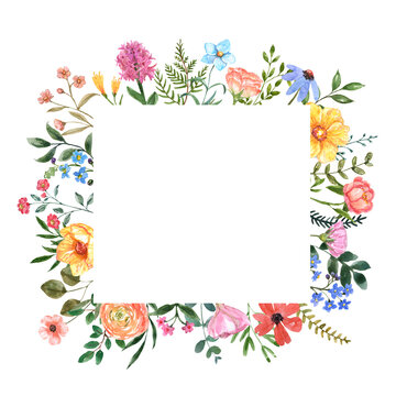 Watercolor wild flowers botanical square frame with blank space for text. Hand painted pink, yellow, blue summer meadow flowers and herbs. Colorful floral border, invitation template.