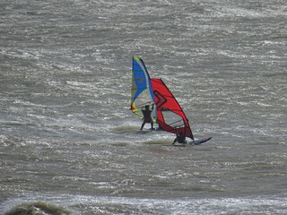 windsurfers on the sea