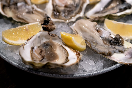 Fresh oysters in shells in plate with crushed ice and lemon slices