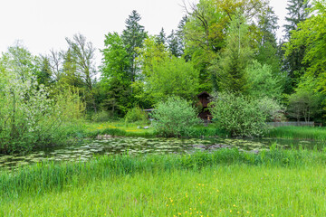 naturparadies hurstmoos-verein hindelbank burgdorf schweiz seerosen
