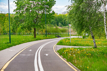 road in the park