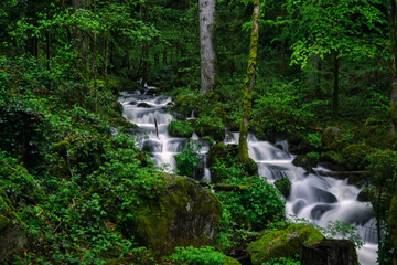 waterfall in the forest