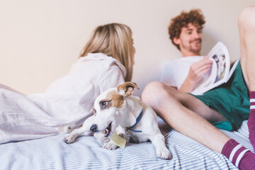 Young couple indoor at home lying bed with puppy dog