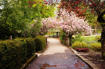 path in the garden