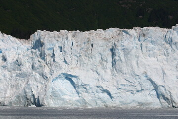 Fototapeta na wymiar Alaska Iceberg Reaching the Shore and getting Ready to Calve and Make Icebergs as the Chunks Brake Off and Fall into the Ocean