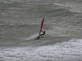 windsurfer 