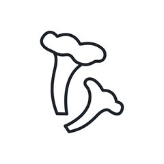 Chanterelle icon. Vector isolated linear icon contour shape outline. Thin line. Modern glyph design. Mushrooms. Food ingredients.