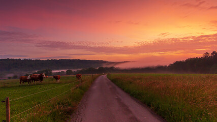 Sonnenuntergang mit Nebel über der Wiese