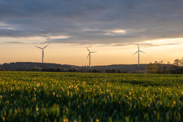 Evening Walk in the Afternoon