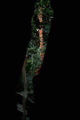 Christmas lights in the tropical garden shot through the waterfall