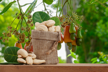 Cashew nuts in the bag with floor wooden and red ripe fruit background on the tree