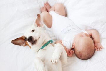 dog and newborn baby
