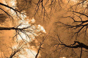 Fototapety na wymiar - Fototapeta24.pl