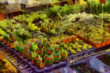 Agricultural flea market and flower shop Illustrations creates an impressionist style of painting.