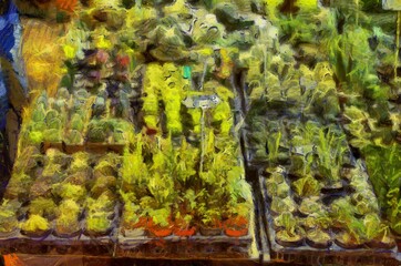 Agricultural flea market and flower shop Illustrations creates an impressionist style of painting.