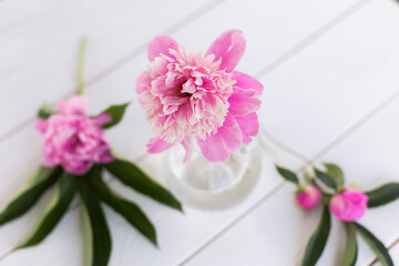 Fototapeta na wymiar Pink fresh lowers in vase
