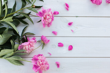 Pink fresh flowers on wooden background