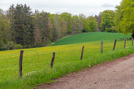 Wandern im Nationalpark Eifel