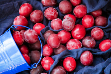 Red plum on blue tablecloth. Plums top view. Fruit background. Still life food. Fruit summer harvest in basket