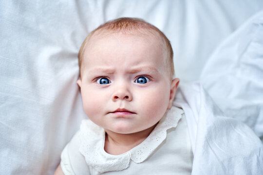 Blue Eyes Baby Images Browse 57 Stock Photos Vectors And Video Adobe Stock