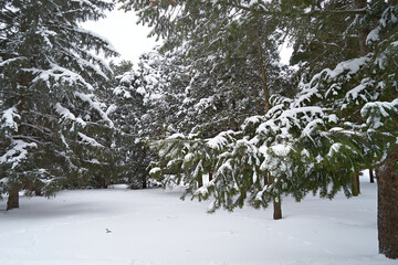 City park covered with snow.