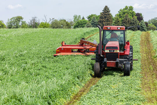 A Case IH tractor and a New Holland discbine cutting alfalfa hay.