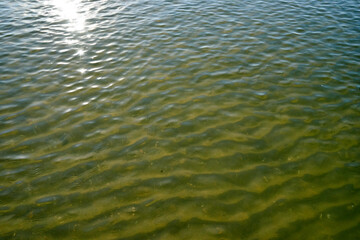 Image of sea water.