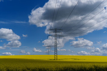 Field with yellow blossoming rapeseed with electric poles and clouds on a blue sky.