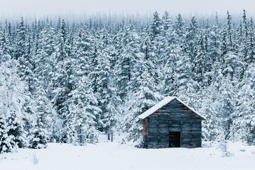 Old wooden barn in front of snow covered forest