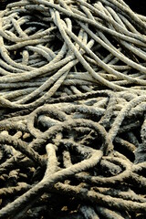 close up of a rope