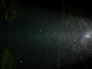 particle dust abstract design black background underwater view