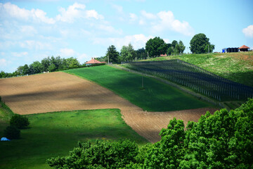 Obraz premium golf course in the morning