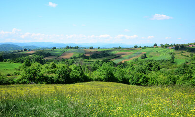 Fototapeta na wymiar landscape with green field and sky