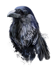 Raven head in grunge style. Watercolor drawing - 434955484