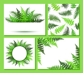 Fern frond frames and pattern vector collection. Polypodiophyta plant leaves decoration on white background. Detailed bracken fern drawing, tropical forest herbs, fern frond grass card frame borders.
