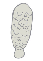 Vector illustration of coprinus comatus. The shaggy ink cap.